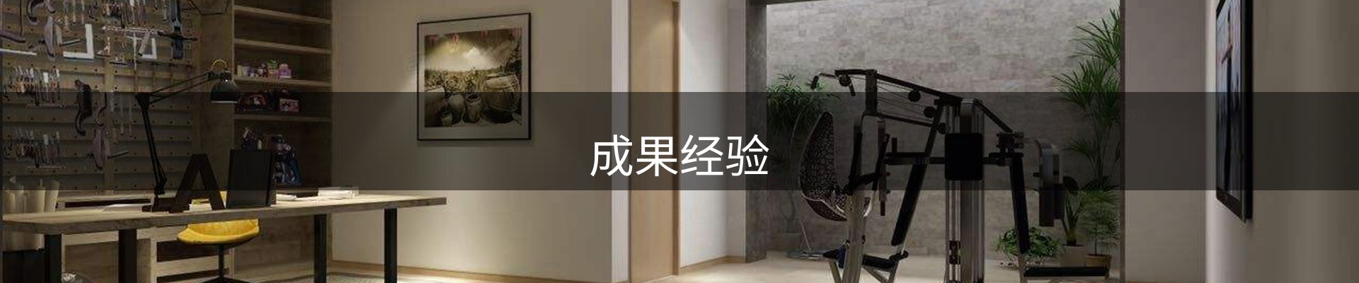 成果经验